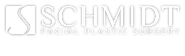 Schmidt Brand Film 2016